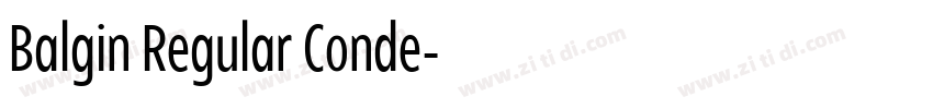 Balgin Regular Conde字体转换